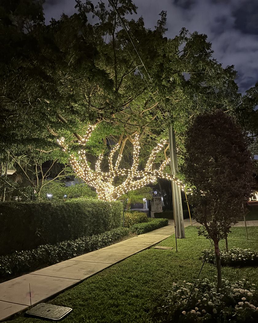 Entry with a lit wreath, roofline and wrapped palms