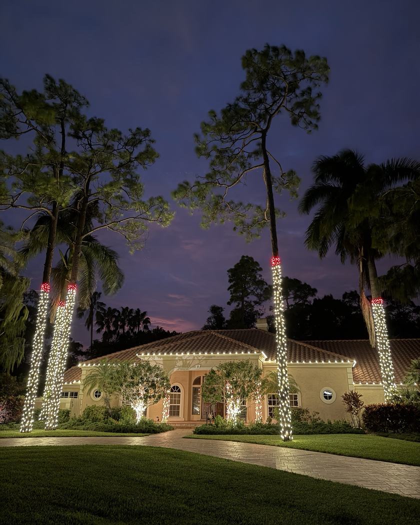 Modern home with lit cone trees at the entry